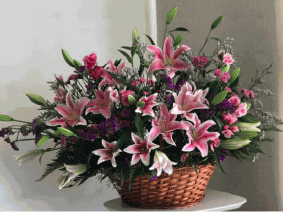 Odoo - Ejemplo 1 para tres columnas