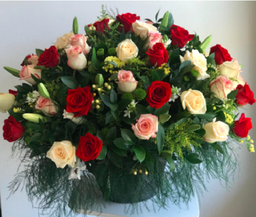 50 rosas varios colores